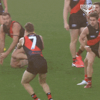 Australian Rules Football GIF by Essendon FC