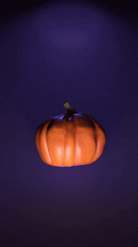 ittox_ halloween pumpkins laguarimba2024 GIF