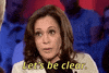 Kamala Harris Msnbc GIF by Election 2020