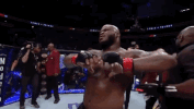 ufc 229 sport GIF by UFC