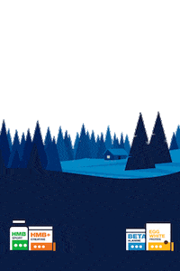 Christmas Holiday Sticker by Blonyx