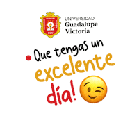 UniGV despedida ugv guadalupevictoria universidadguadalupevictoria Sticker