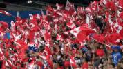 world cup league GIF by NRL