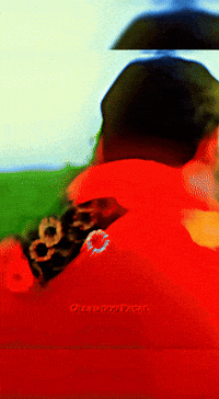 Anubhav Ollywood GIF