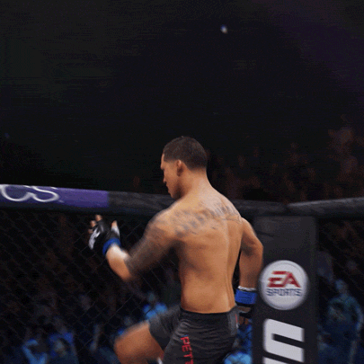 conor mcgregor showtime GIF by EA SPORTS UFC