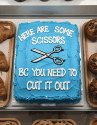 Honestcakes stop cringe sarcastic annoying GIF