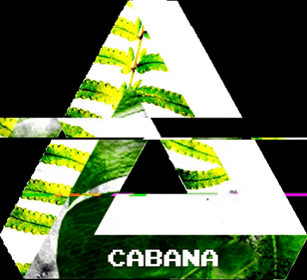 Cabana_Libre giphygifmaker cabana cabanalibre dj music GIF