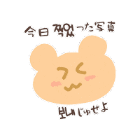 Korean 韓国 Sticker