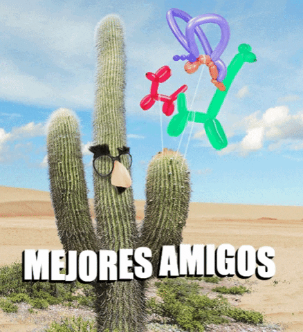 enehache best friends amigos cactus balloons GIF