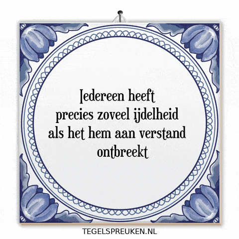 Wijsheid Troost GIF by Tegelspreuken.nl