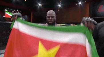 Sport Mma GIF by UFC