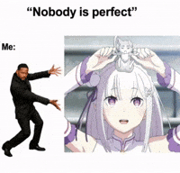 Nobody Is Perfect Rezero Emilia GIF