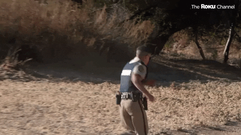 Reno 911 GIF by The Roku Channel