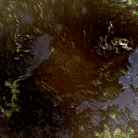 Art Loop GIF by xponentialdesign