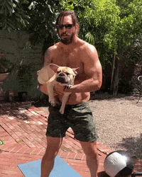 sungalife summer puppy sunglasses shades GIF