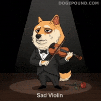 Sad Oh No GIF by Doge Pound