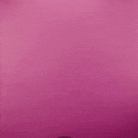 Saturday Morning Flower GIF by giphystudios2021