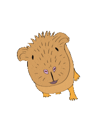 Djur Marsvin Sticker by VetZoo