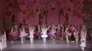 lincoln center dance GIF by New York City Ballet