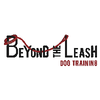 Orlando Fl Dog Sticker by BeyondTheLeash