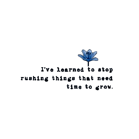 Writing Quotes Sticker