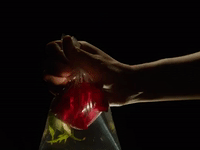 wet band you're not wrong GIF by Wet