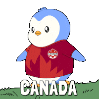 World Cup Football Sticker by Pudgy Penguins