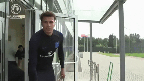 three lions GIF by England