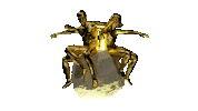 vjzotz loop 3d rock gold Sticker
