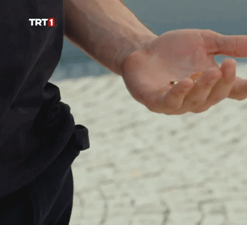 Wedding Ring GIF by TRT