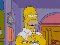 homer simpson GIF