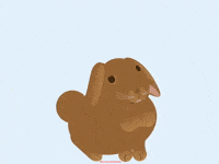 You Are Beautiful Bunny GIF