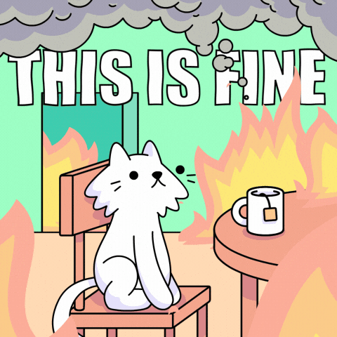 Cat This Is Fine GIF by doodles