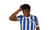Home Facepalm Sticker by Hertha BSC
