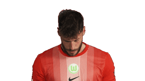 Look Up Vfl Wolfsburg Sticker by Bundesliga