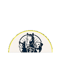Vets Biotecnologia Sticker by Regenevets