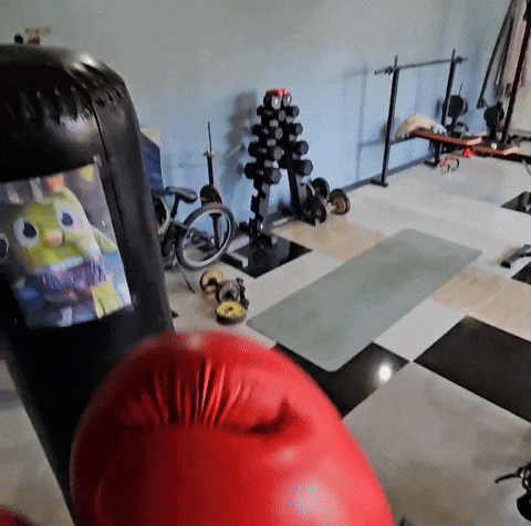 Boxing Chile GIF by Humita