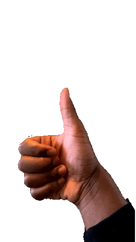 KameHouseArt thumbs up good job hand gesture Sticker