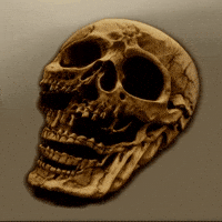 Bg Network GIF by Aleksey Efremov