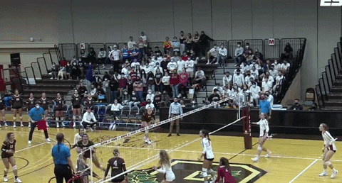 Celebration Dancing GIF by Brown Volleyball