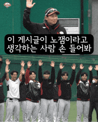 Lg GIF