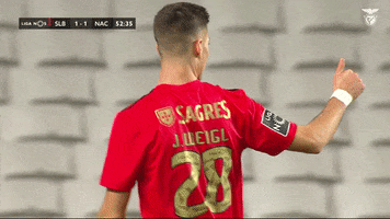 Sl Benfica Thumbs Up GIF by Sport Lisboa e Benfica