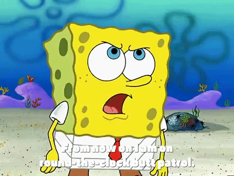 Season 3 GIF by SpongeBob SquarePants