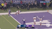 New York Giants Football GIF by NFL