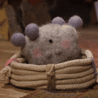 Pets Sleeping GIF by Tweedy & Fluff