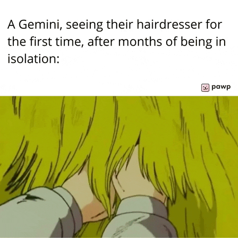 mypawp giphyupload GIF