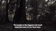 viceland GIF by Earthworks
