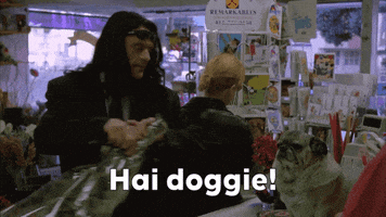 the room bad movies GIF by Coolidge Corner Theatre