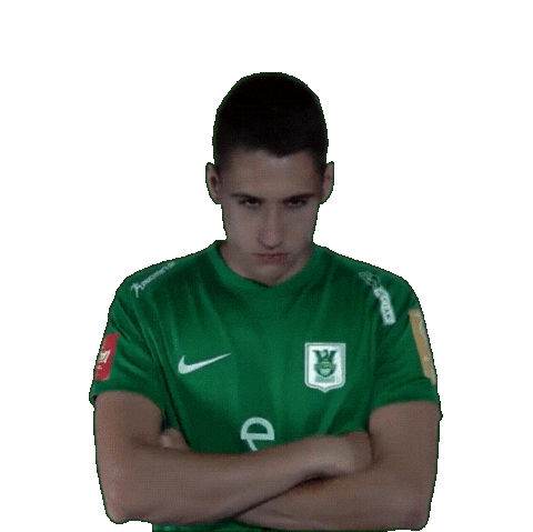 Luka Sticker by NK Olimpija