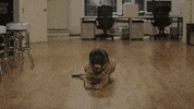 big cat leroy GIF by Barstool Sports